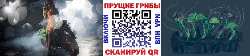 Псилоцибиновые грибы мухоморы  Агрыз 